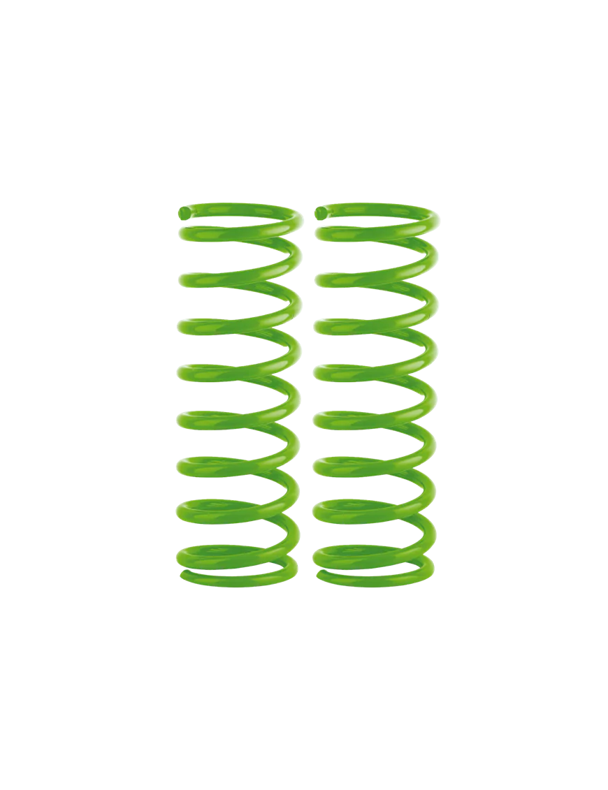 Komplet 2 tylnych sprężyn +2" medium 0-250 kg NISS018B