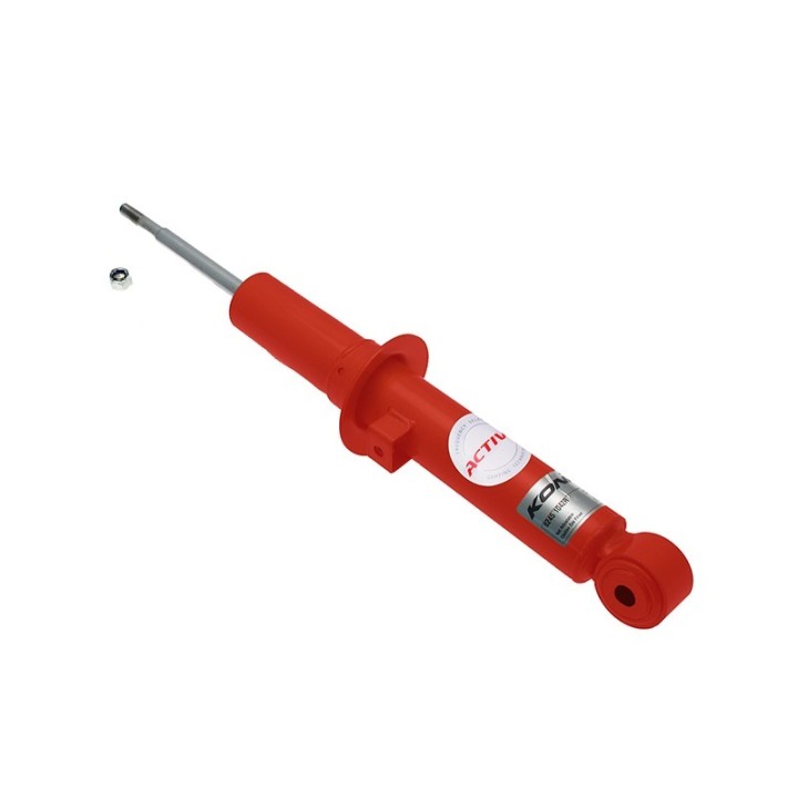 Amortyzator tylni 8245-1042R