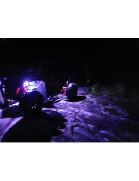 Magical Wizards  Rock Lights