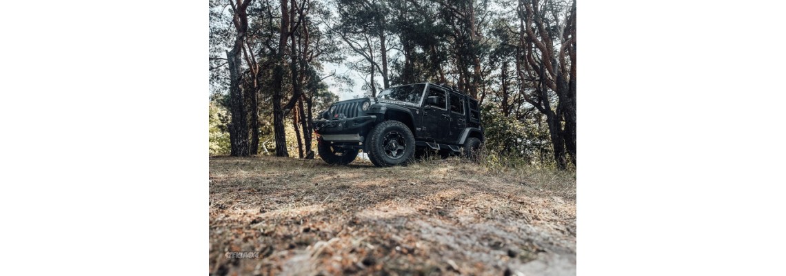 Wrangler JK bagażnik oświetlenie prostowanie mostu i blacharka, Warn, Rival