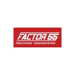 FACTOR 55