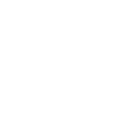 VEVOR