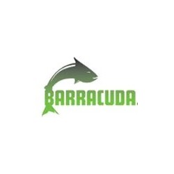 Barracuda